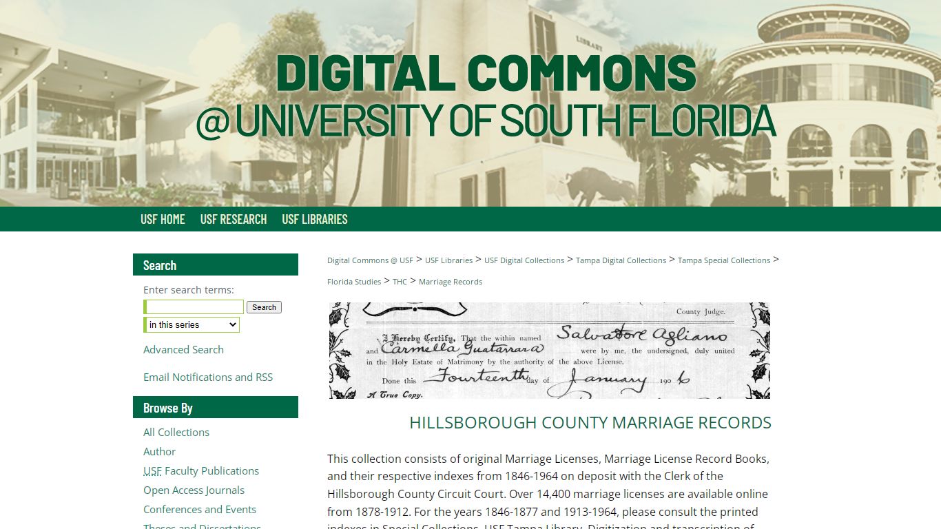 Hillsborough County Marriage Records | Tampa and ...